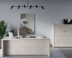 Кабинет руководителя Solid images