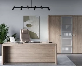 Кабинет руководителя Solid images