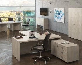 Кабинет руководителя Solid images