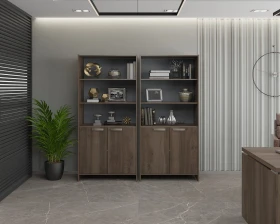 Кабинет руководителя Фестус / Festus images