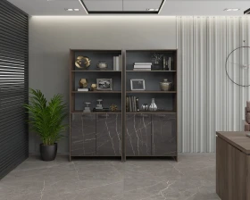 Кабинет руководителя Фестус / Festus images