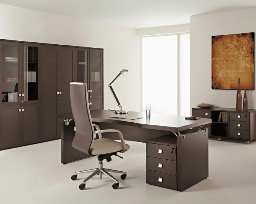 Кабинет руководителя Premier