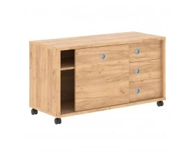 Тумба мобильная со слайд-дверью 1200х500х660 Born TP images