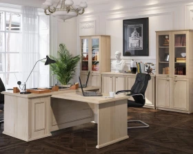 Кабинет руководителя Раут / Raut images