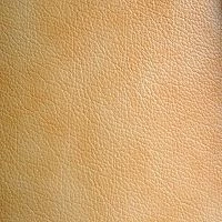 CONSUL-Bicolore-Salia-1020-Y40R