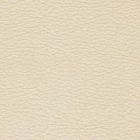 CONSUL-Ivory-1010-Y20R